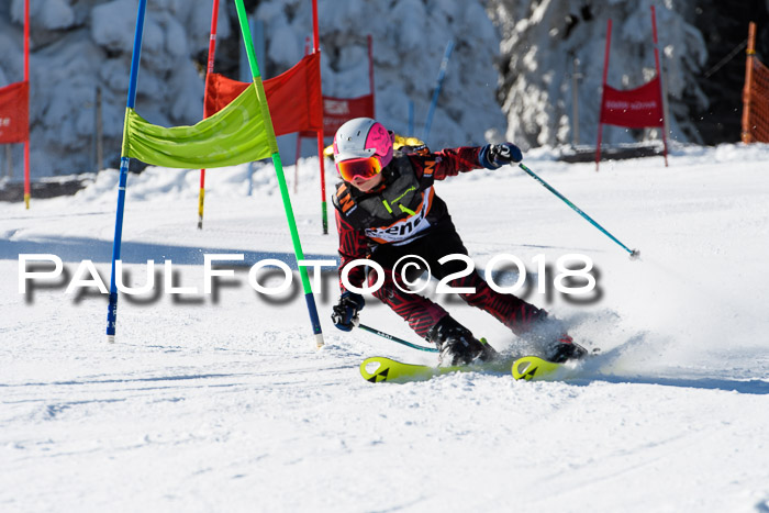 Ziener Cup WF, Finale, Quali + Parallelslalom, 24.03.2018