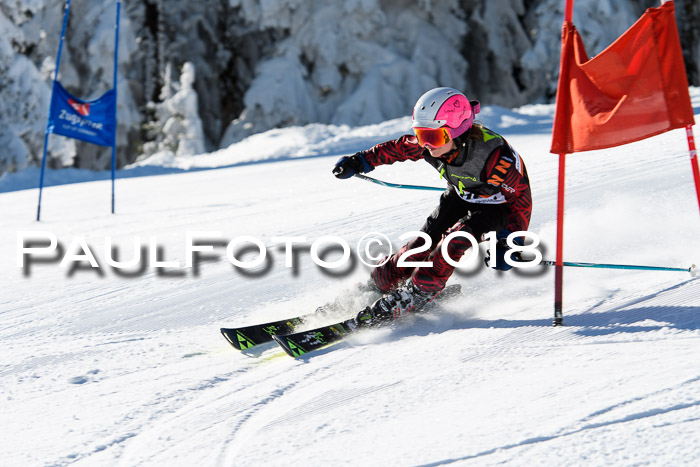Ziener Cup WF, Finale, Quali + Parallelslalom, 24.03.2018