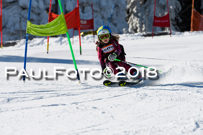 Ziener Cup WF, Finale, Quali + Parallelslalom, 24.03.2018