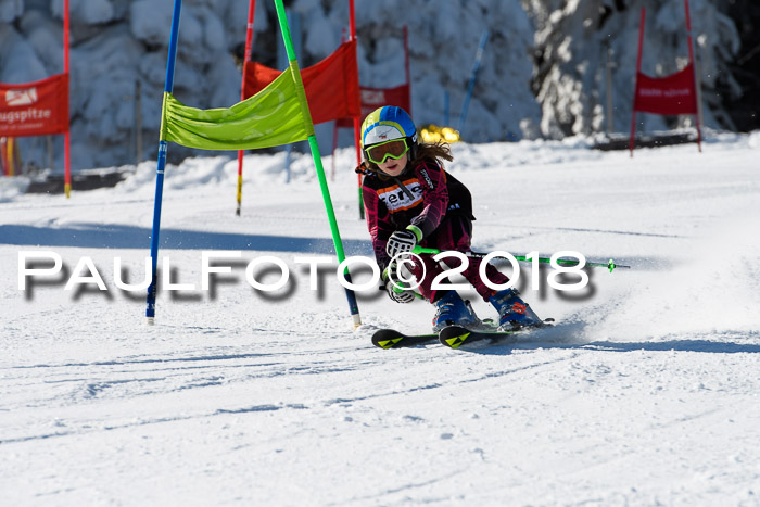 Ziener Cup WF, Finale, Quali + Parallelslalom, 24.03.2018
