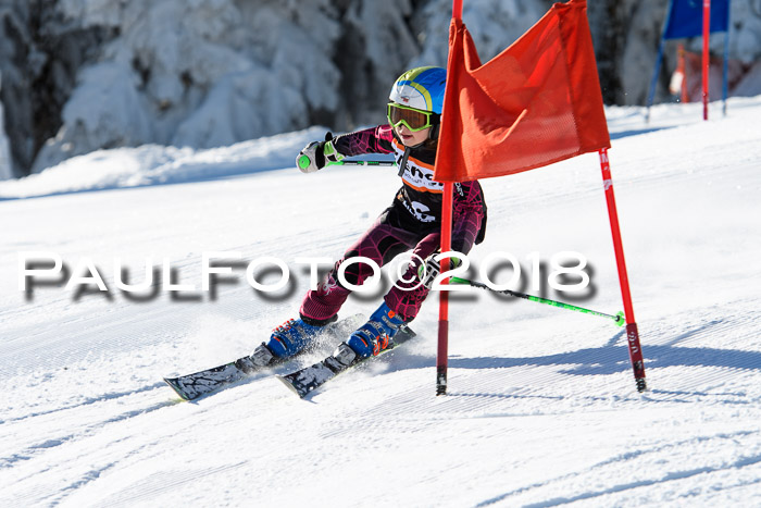Ziener Cup WF, Finale, Quali + Parallelslalom, 24.03.2018