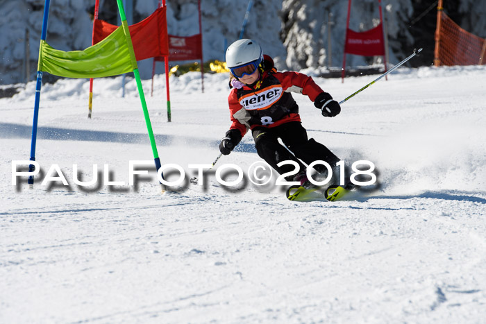 Ziener Cup WF, Finale, Quali + Parallelslalom, 24.03.2018