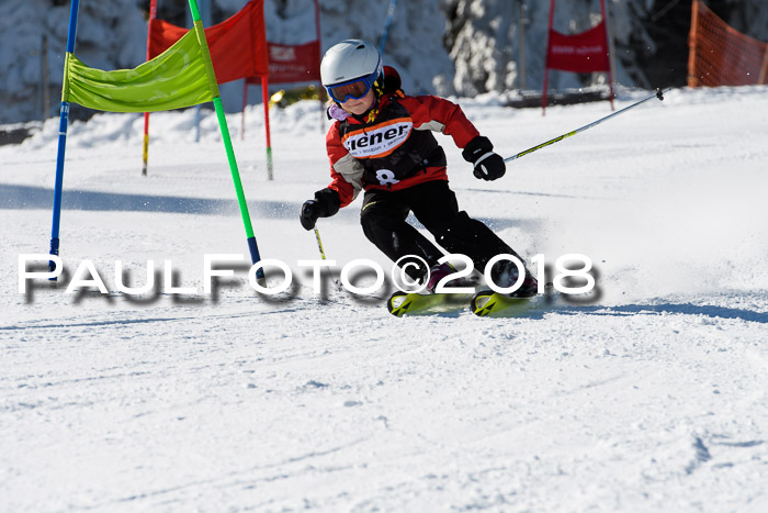 Ziener Cup WF, Finale, Quali + Parallelslalom, 24.03.2018