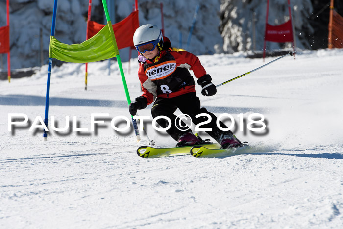 Ziener Cup WF, Finale, Quali + Parallelslalom, 24.03.2018