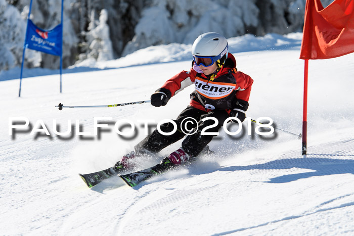 Ziener Cup WF, Finale, Quali + Parallelslalom, 24.03.2018