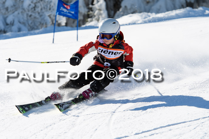 Ziener Cup WF, Finale, Quali + Parallelslalom, 24.03.2018