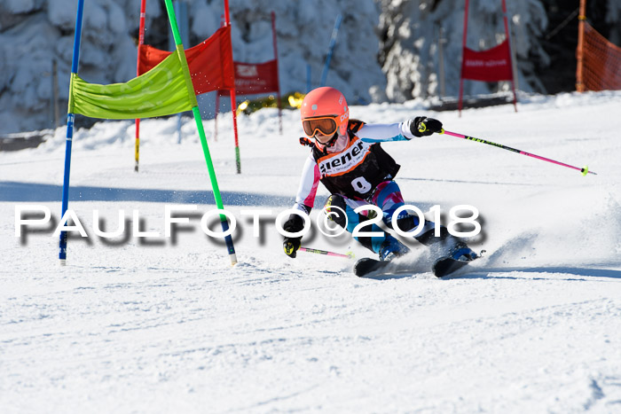 Ziener Cup WF, Finale, Quali + Parallelslalom, 24.03.2018