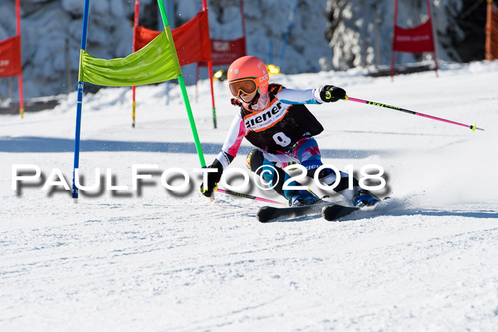 Ziener Cup WF, Finale, Quali + Parallelslalom, 24.03.2018
