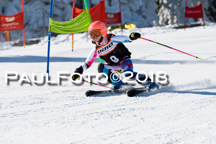 Ziener Cup WF, Finale, Quali + Parallelslalom, 24.03.2018
