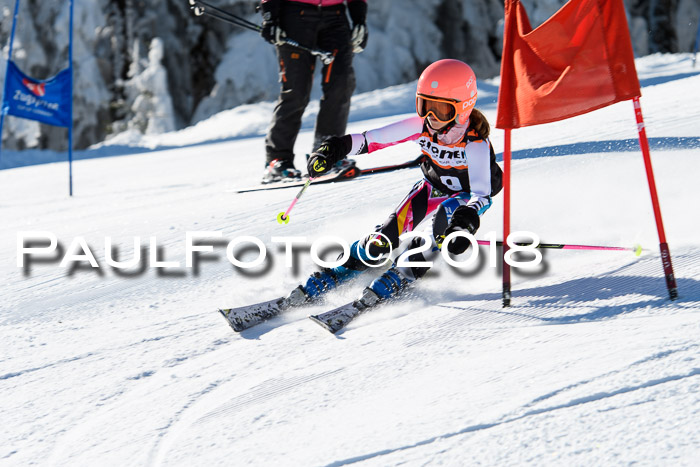 Ziener Cup WF, Finale, Quali + Parallelslalom, 24.03.2018