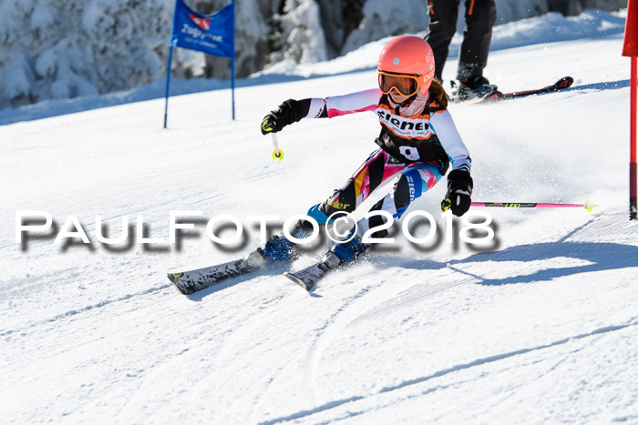 Ziener Cup WF, Finale, Quali + Parallelslalom, 24.03.2018