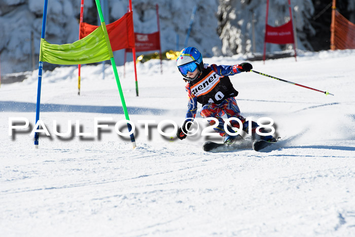 Ziener Cup WF, Finale, Quali + Parallelslalom, 24.03.2018
