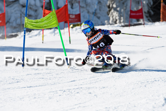 Ziener Cup WF, Finale, Quali + Parallelslalom, 24.03.2018
