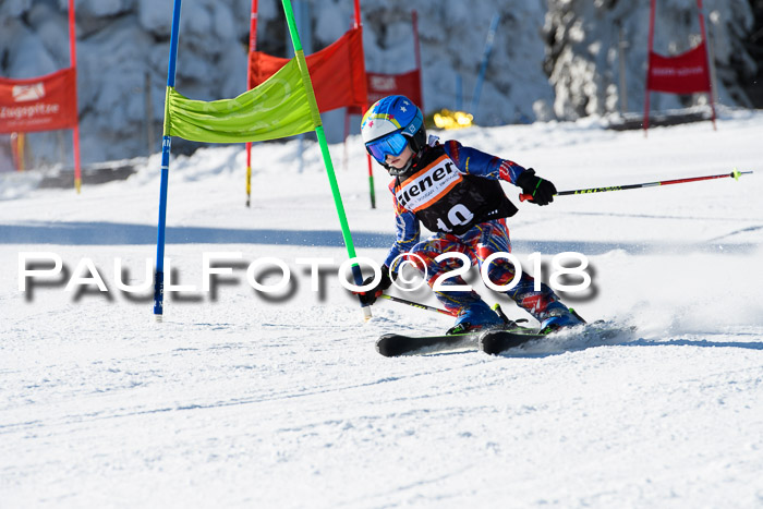 Ziener Cup WF, Finale, Quali + Parallelslalom, 24.03.2018