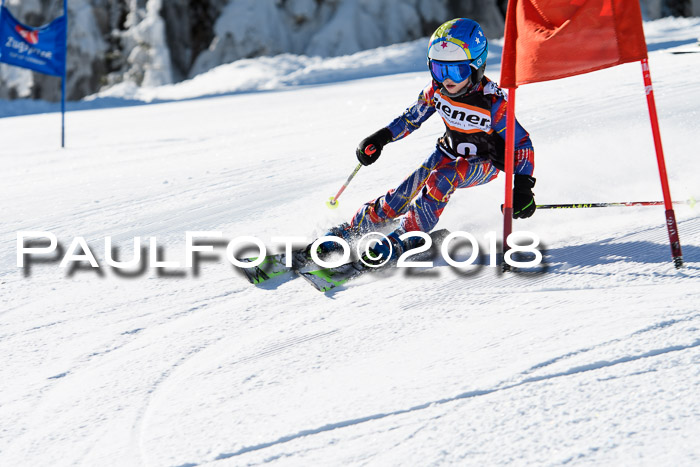 Ziener Cup WF, Finale, Quali + Parallelslalom, 24.03.2018