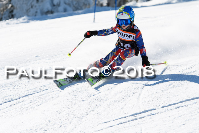 Ziener Cup WF, Finale, Quali + Parallelslalom, 24.03.2018
