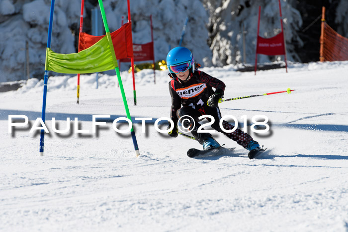Ziener Cup WF, Finale, Quali + Parallelslalom, 24.03.2018
