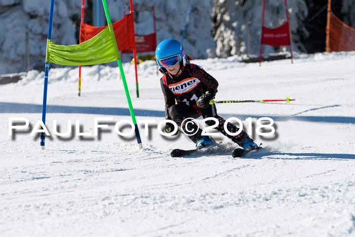Ziener Cup WF, Finale, Quali + Parallelslalom, 24.03.2018