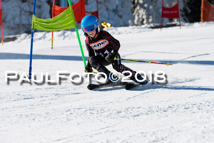 Ziener Cup WF, Finale, Quali + Parallelslalom, 24.03.2018