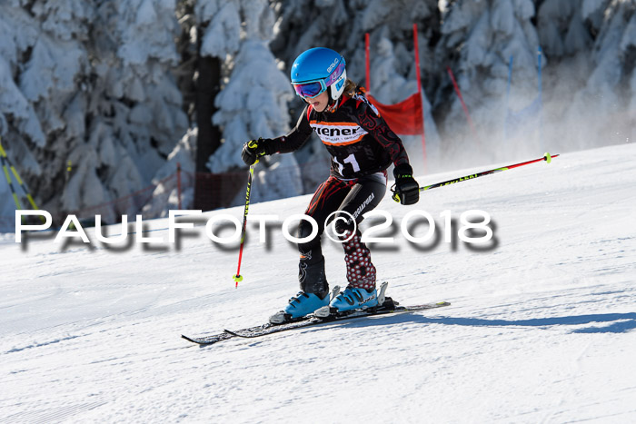 Ziener Cup WF, Finale, Quali + Parallelslalom, 24.03.2018