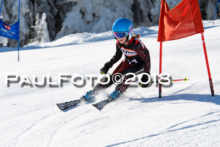 Ziener Cup WF, Finale, Quali + Parallelslalom, 24.03.2018