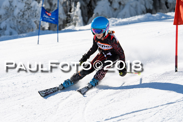 Ziener Cup WF, Finale, Quali + Parallelslalom, 24.03.2018