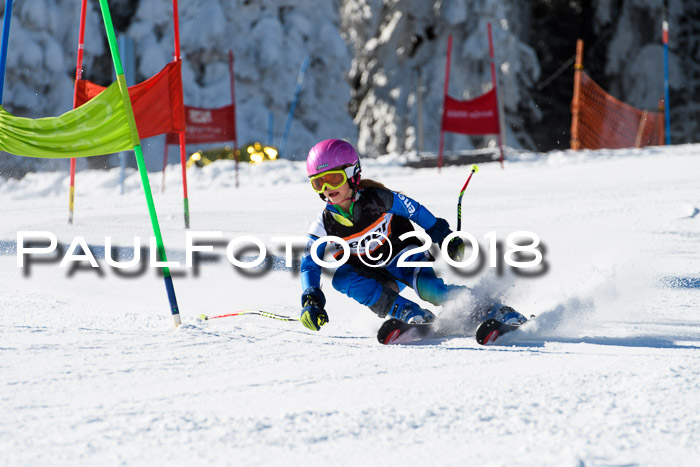 Ziener Cup WF, Finale, Quali + Parallelslalom, 24.03.2018