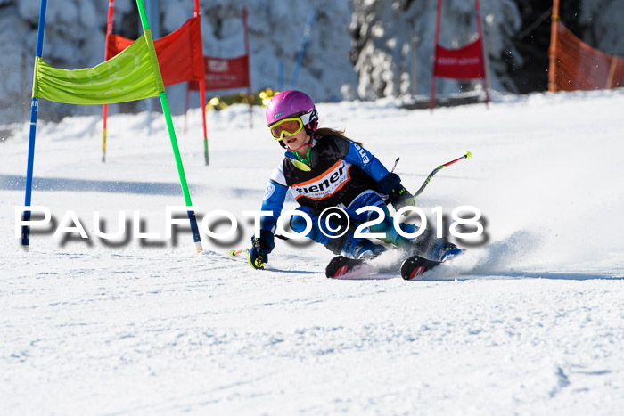Ziener Cup WF, Finale, Quali + Parallelslalom, 24.03.2018