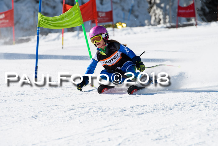 Ziener Cup WF, Finale, Quali + Parallelslalom, 24.03.2018