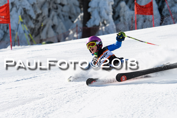 Ziener Cup WF, Finale, Quali + Parallelslalom, 24.03.2018