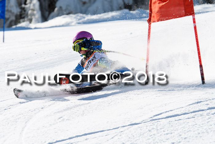 Ziener Cup WF, Finale, Quali + Parallelslalom, 24.03.2018