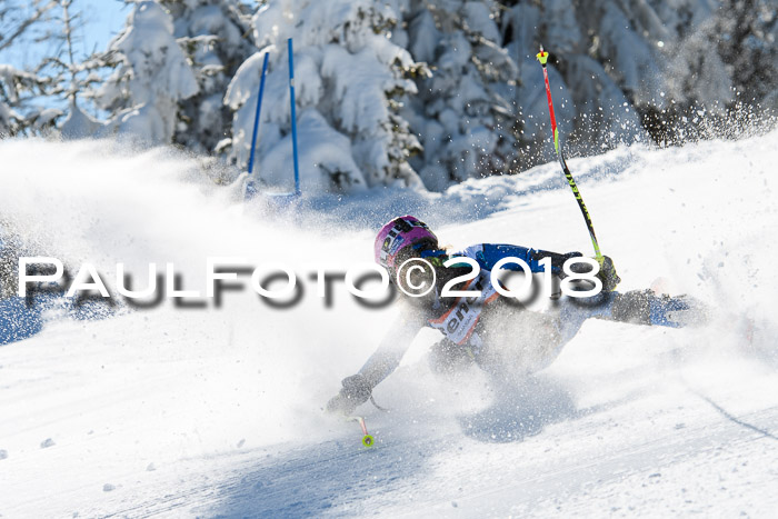 Ziener Cup WF, Finale, Quali + Parallelslalom, 24.03.2018