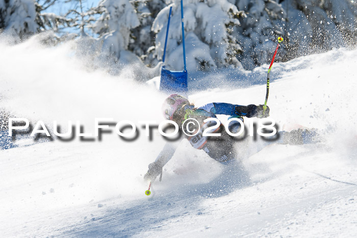 Ziener Cup WF, Finale, Quali + Parallelslalom, 24.03.2018