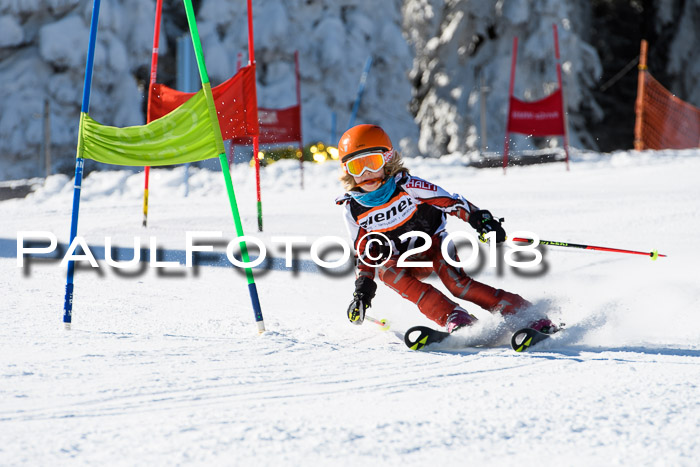 Ziener Cup WF, Finale, Quali + Parallelslalom, 24.03.2018