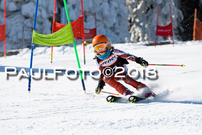 Ziener Cup WF, Finale, Quali + Parallelslalom, 24.03.2018