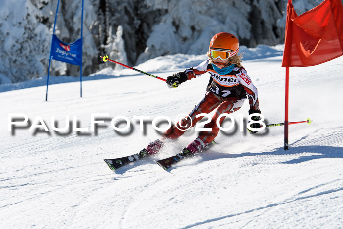 Ziener Cup WF, Finale, Quali + Parallelslalom, 24.03.2018