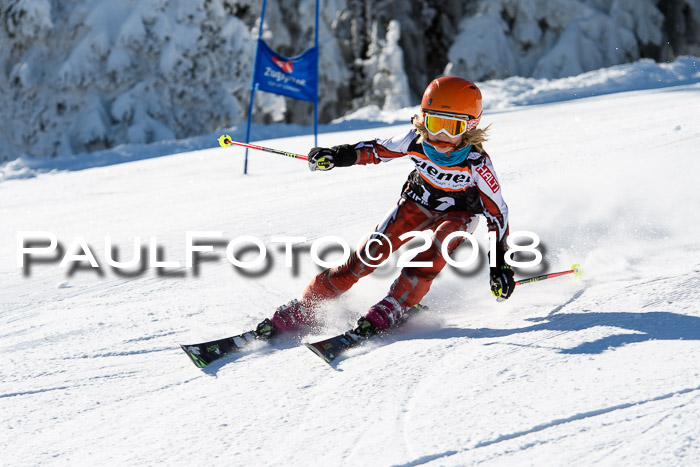 Ziener Cup WF, Finale, Quali + Parallelslalom, 24.03.2018