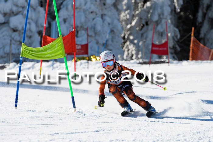 Ziener Cup WF, Finale, Quali + Parallelslalom, 24.03.2018