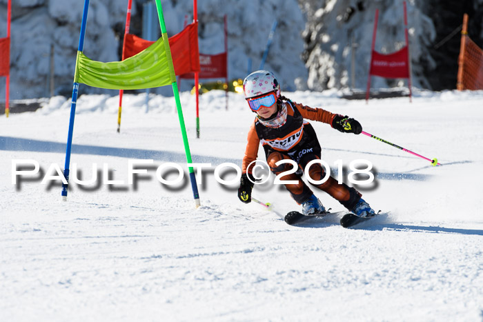 Ziener Cup WF, Finale, Quali + Parallelslalom, 24.03.2018