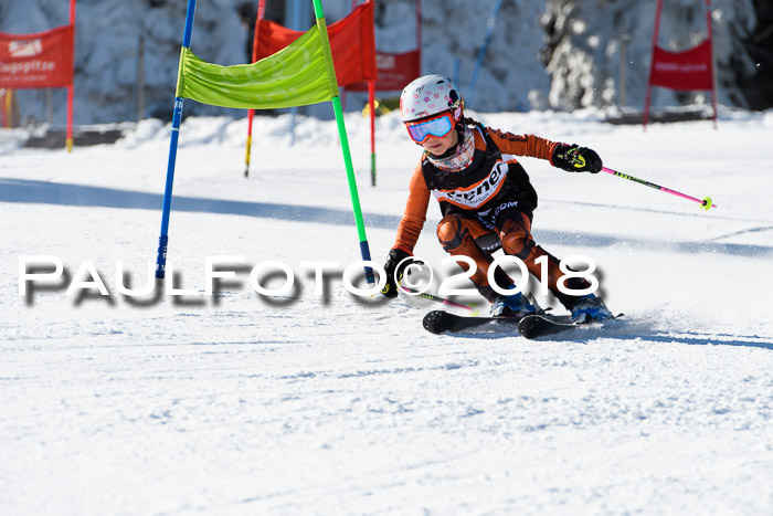 Ziener Cup WF, Finale, Quali + Parallelslalom, 24.03.2018