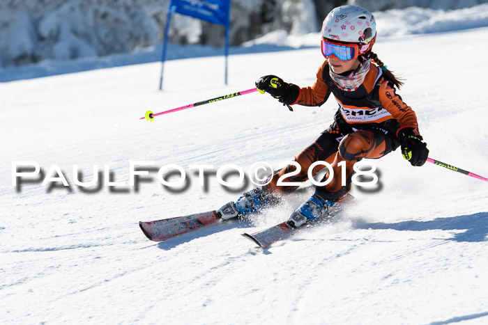 Ziener Cup WF, Finale, Quali + Parallelslalom, 24.03.2018