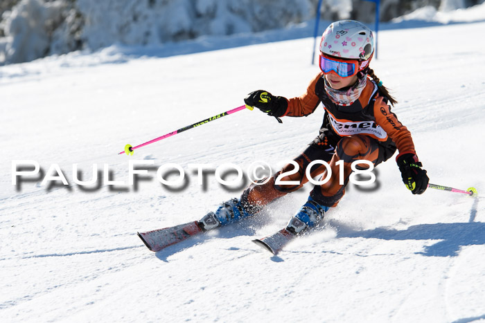 Ziener Cup WF, Finale, Quali + Parallelslalom, 24.03.2018