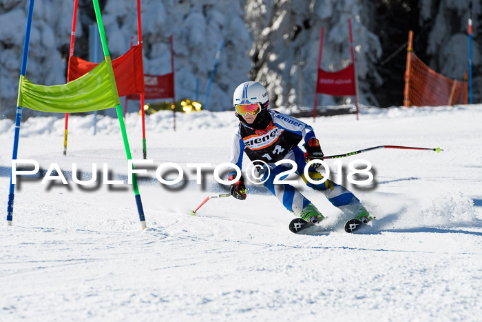 Ziener Cup WF, Finale, Quali + Parallelslalom, 24.03.2018