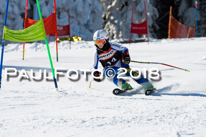 Ziener Cup WF, Finale, Quali + Parallelslalom, 24.03.2018