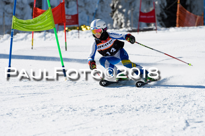Ziener Cup WF, Finale, Quali + Parallelslalom, 24.03.2018