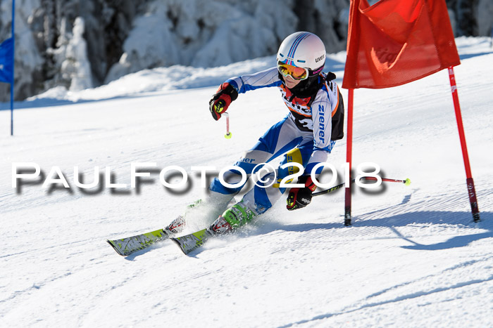 Ziener Cup WF, Finale, Quali + Parallelslalom, 24.03.2018