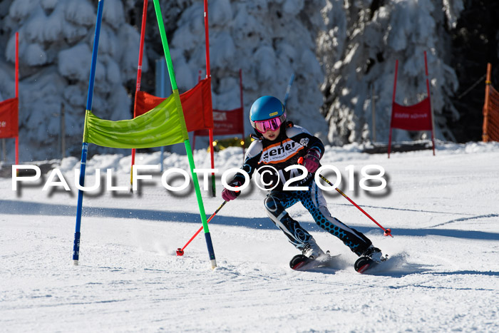 Ziener Cup WF, Finale, Quali + Parallelslalom, 24.03.2018