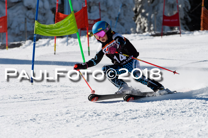 Ziener Cup WF, Finale, Quali + Parallelslalom, 24.03.2018