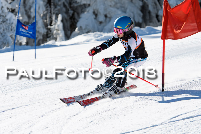 Ziener Cup WF, Finale, Quali + Parallelslalom, 24.03.2018