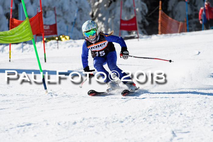 Ziener Cup WF, Finale, Quali + Parallelslalom, 24.03.2018